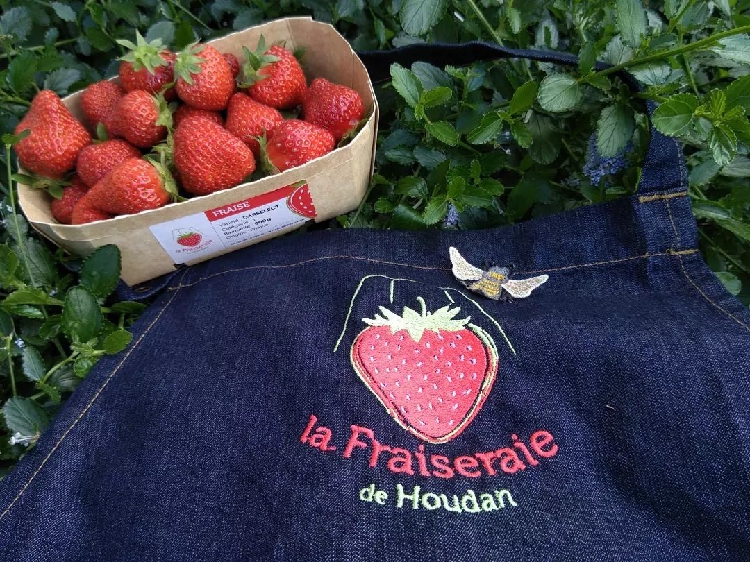 The Houdan strawberry grove
