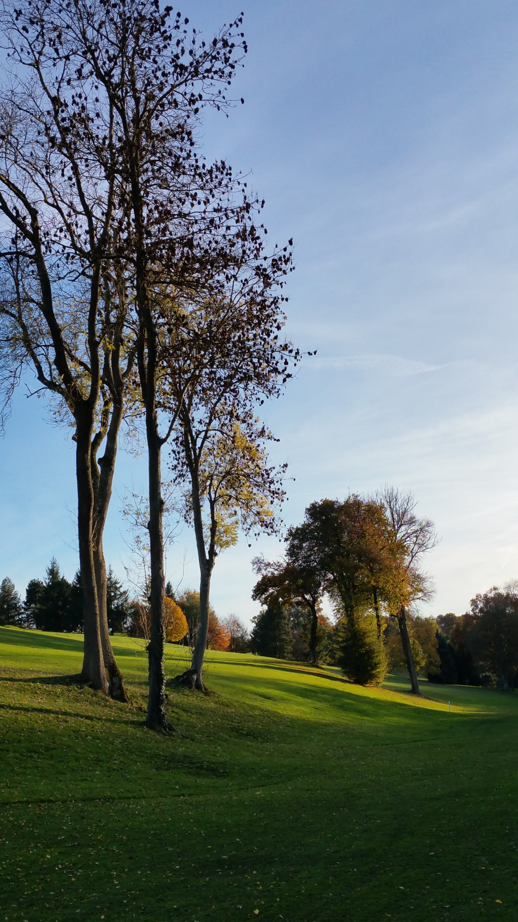 Vaucouleurs golf course 2015