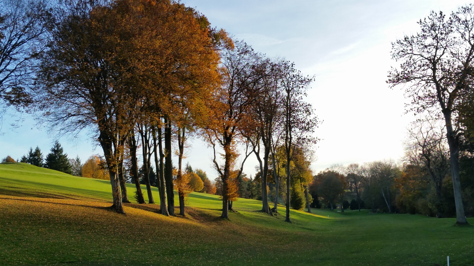 Vaucouleurs golf course 2015