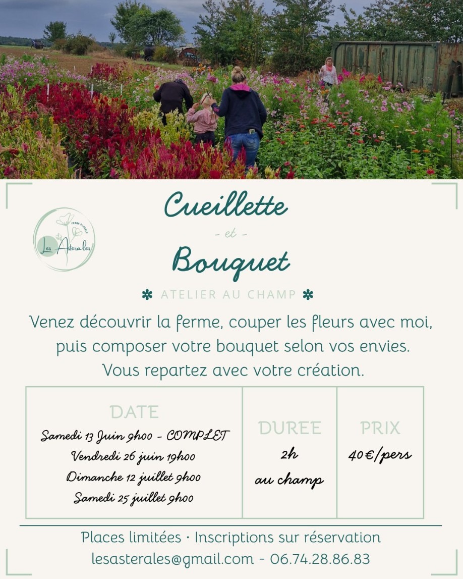 Atelier - Cueillette et bouquet_Saint-Lubin-de-la-Haye
