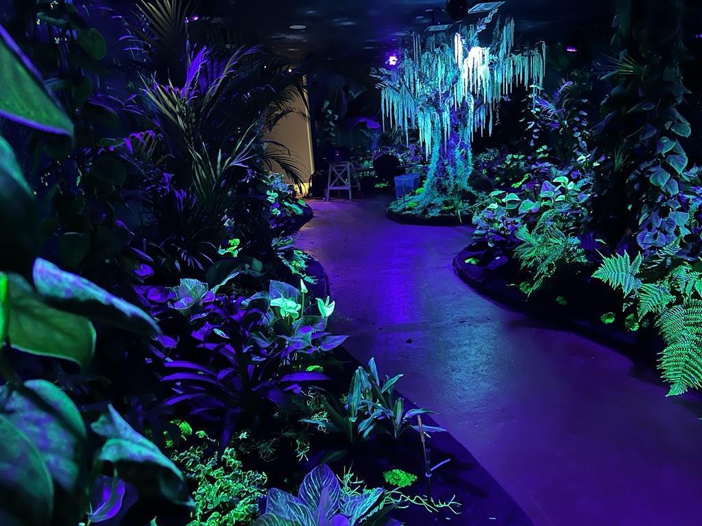 Luminescent Jungle of the Butterfly Greenhouse