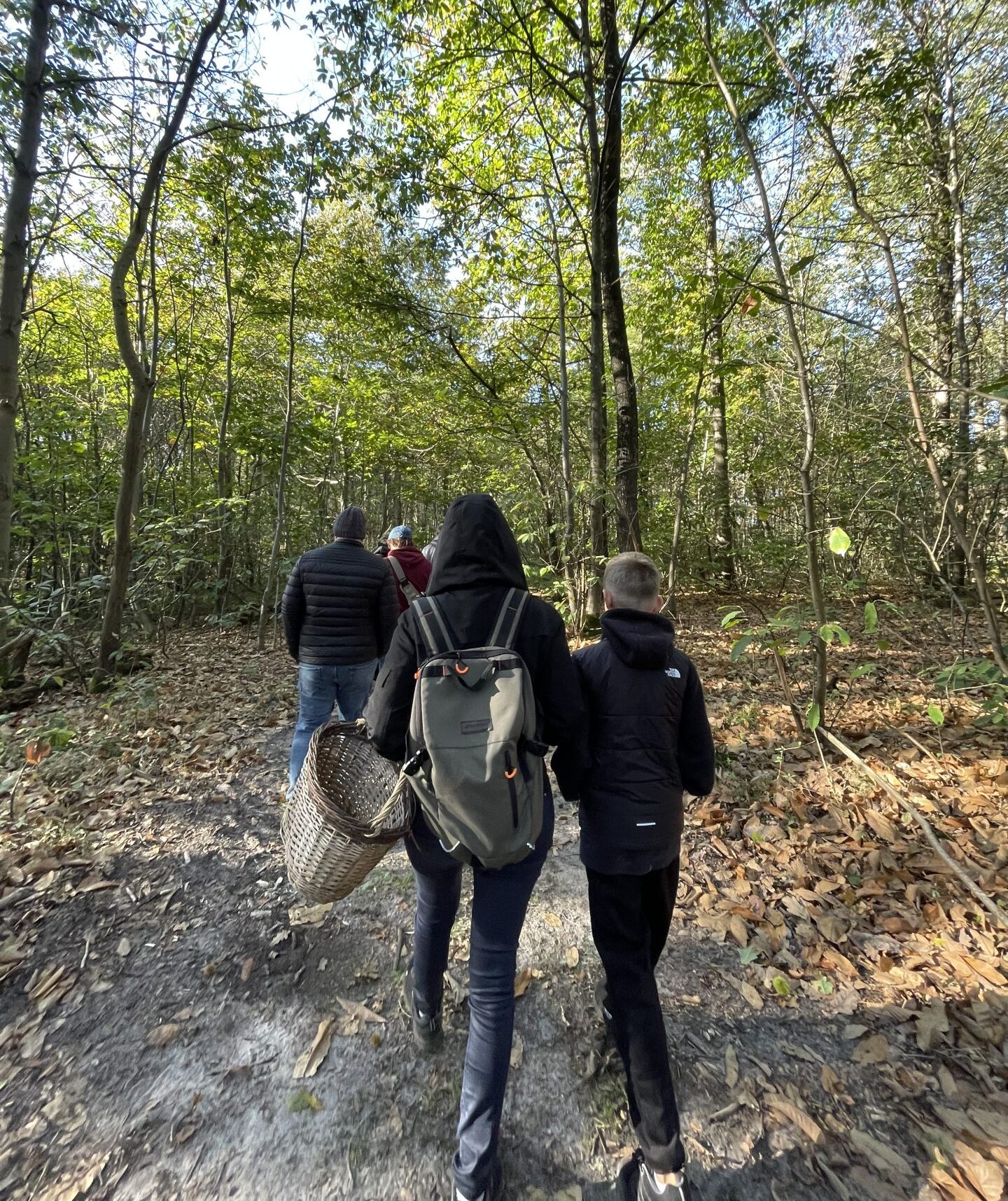 Bazainville mycological walk