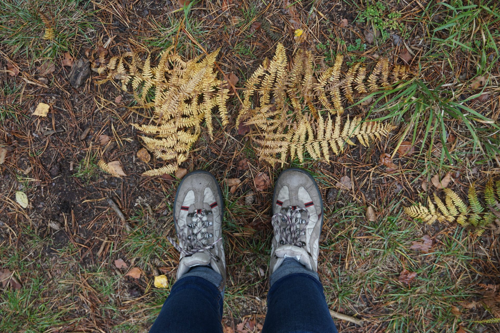 Hiking shoes