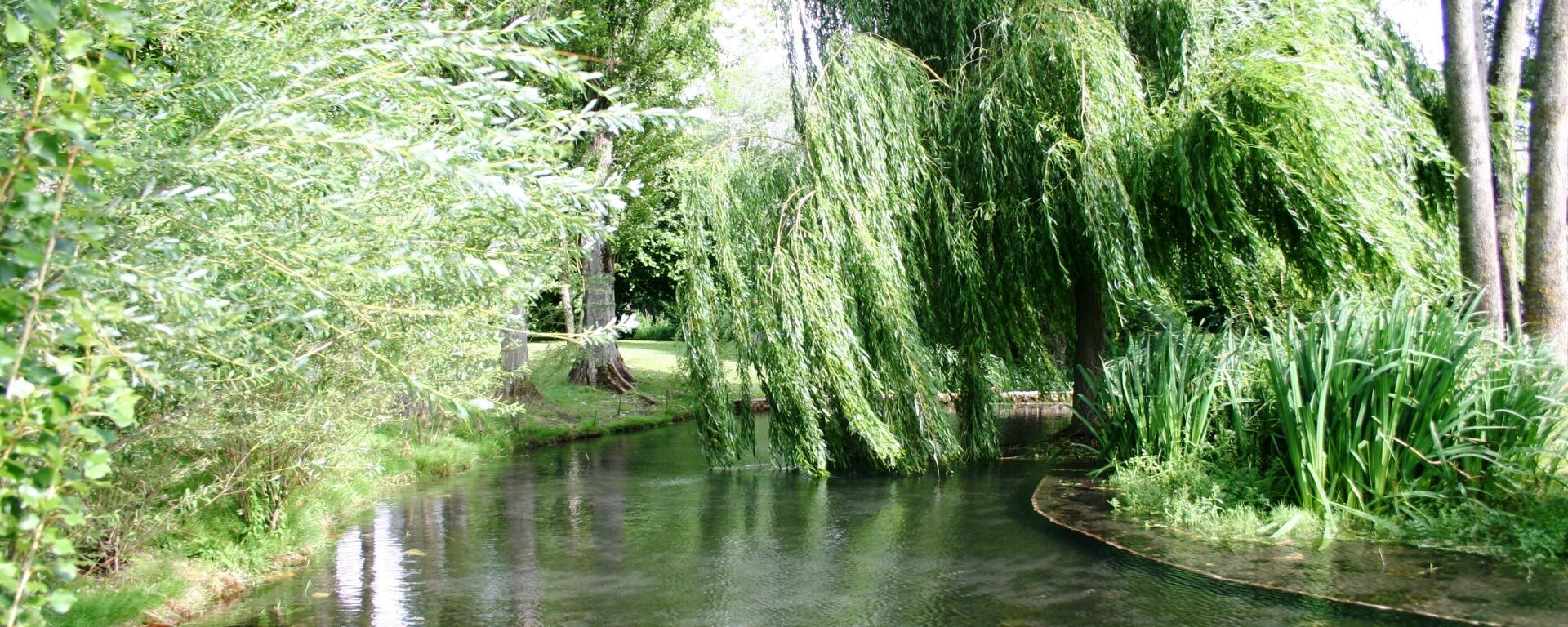 Parc du Douaire Boissets