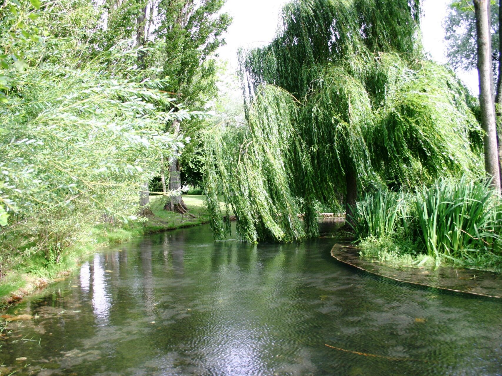 Parc du Douaire Boissets