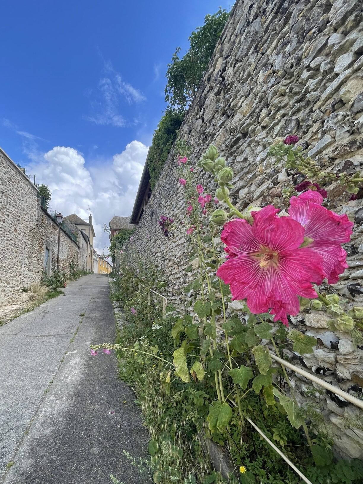 Houdan Sente de la Cavée