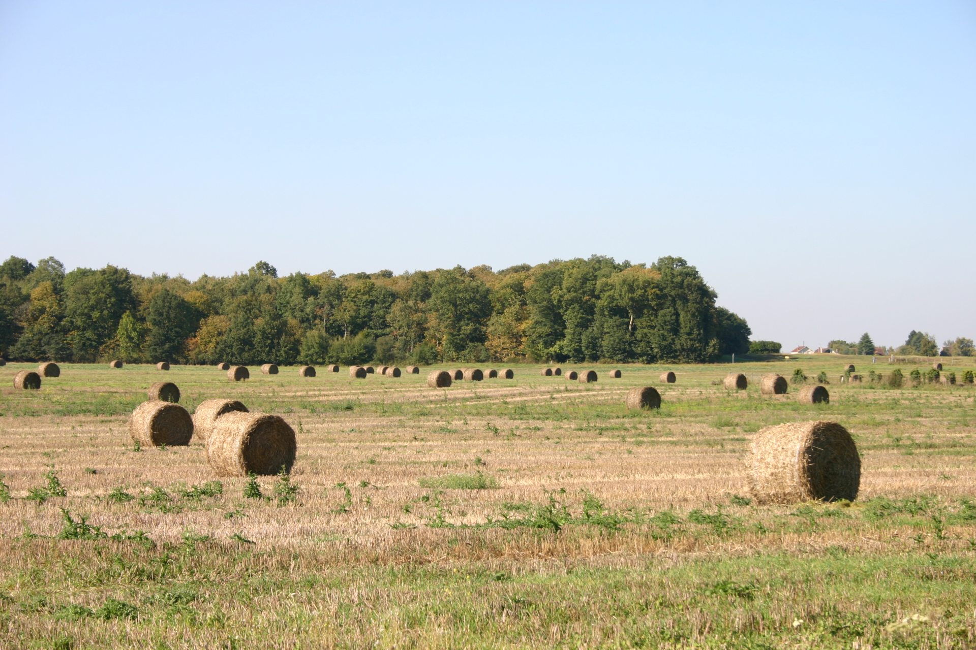 Straw bale fields Orgerus