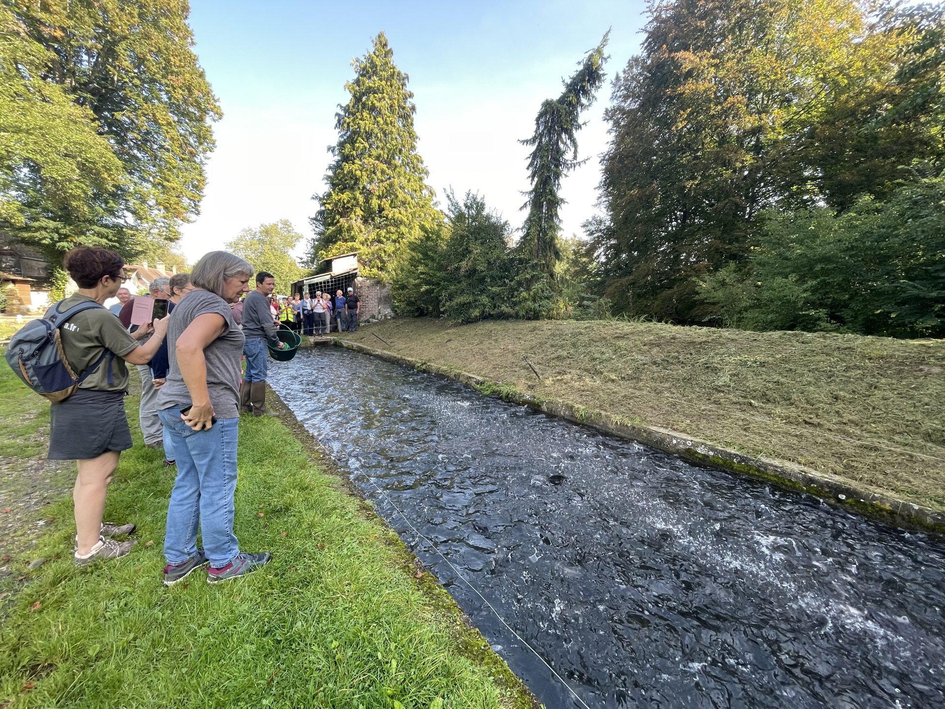 Villette trout fish farm