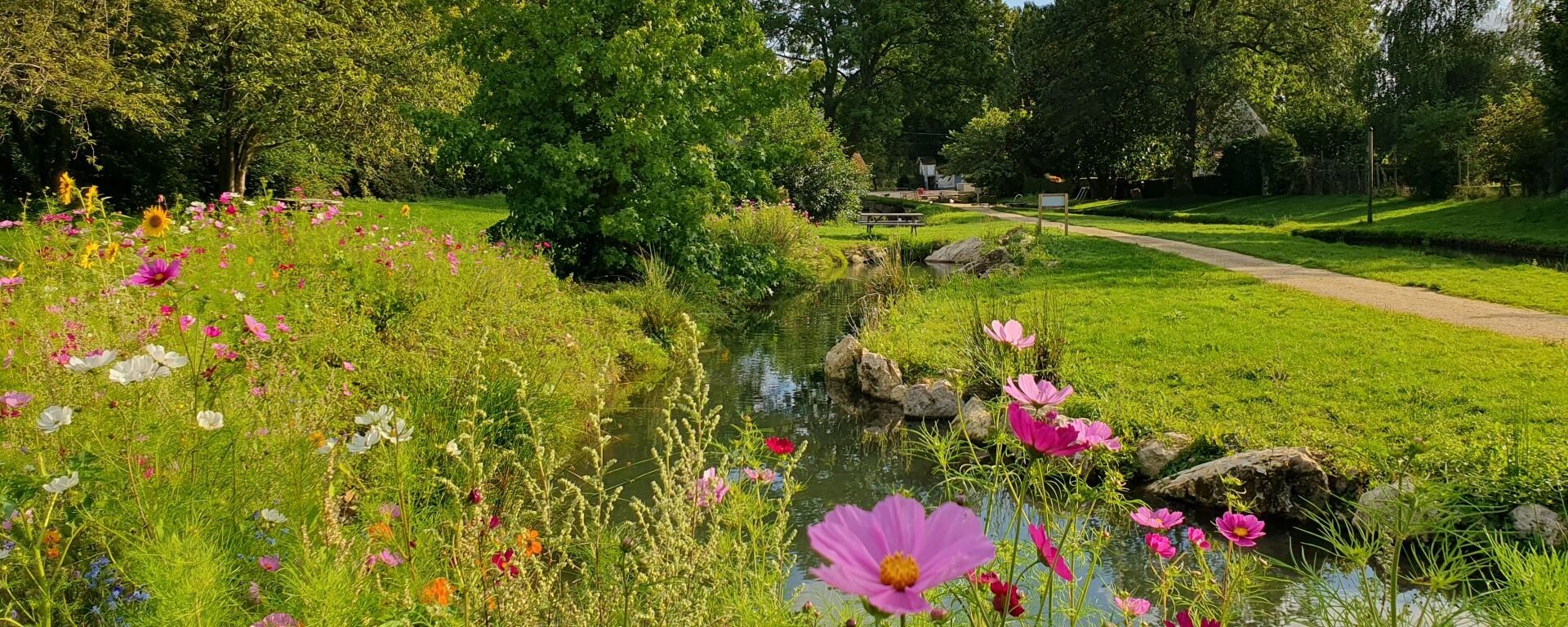 Villette La rivière fish farm - flower meadow