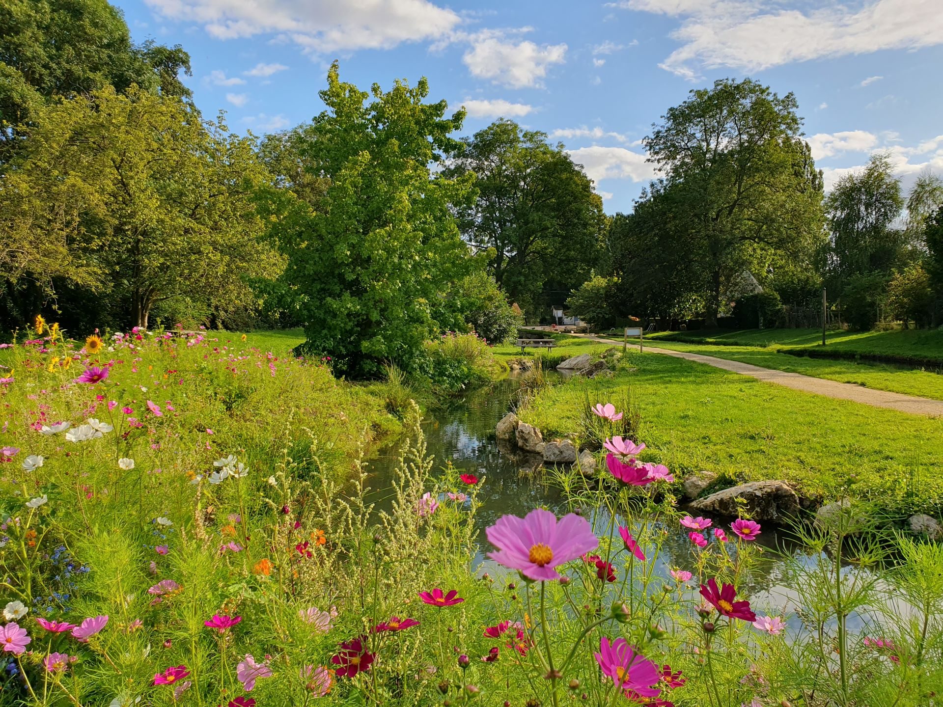 Villette La rivière fish farm - flower meadow