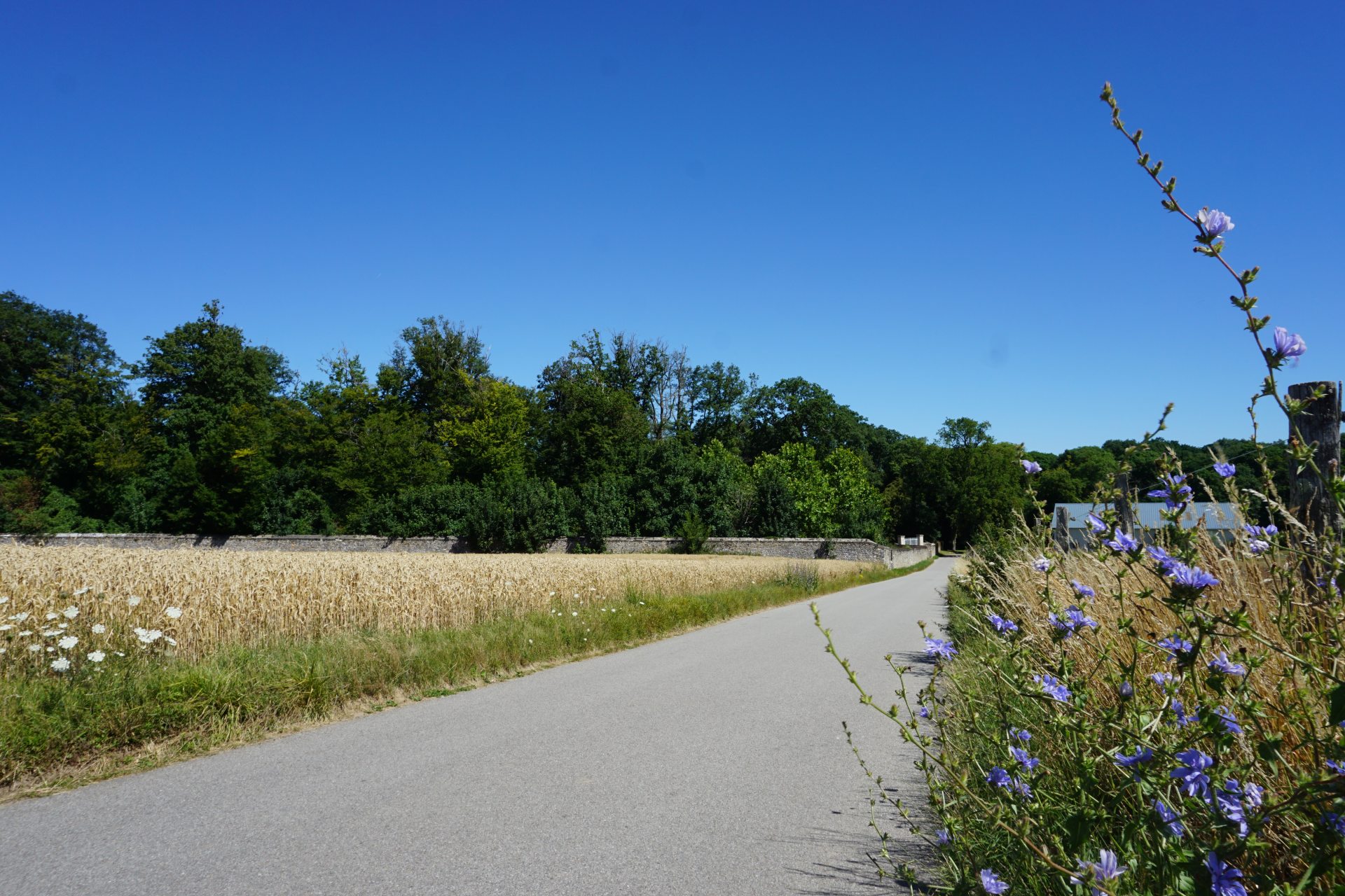 Route campagne Rosay