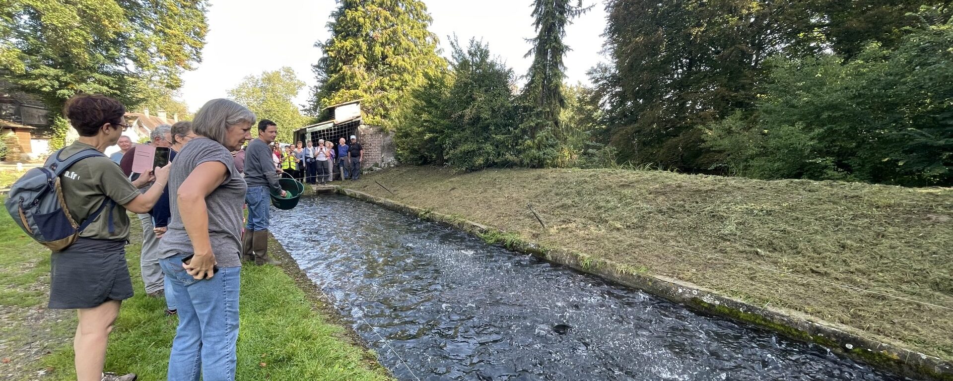 Hiking Villette Boinvilliers Rosay - Villette fish farm