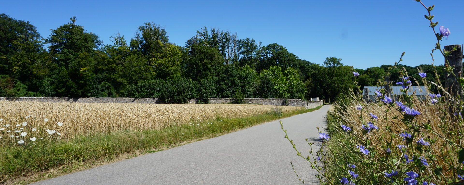 Route campagne Rosay