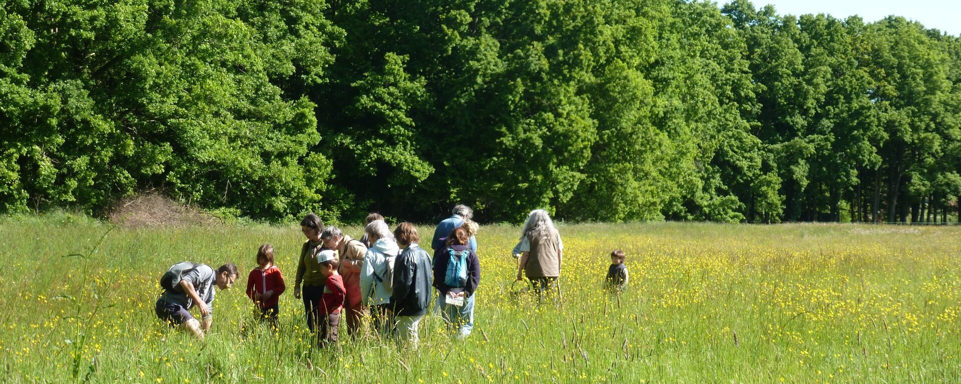 Nature walk