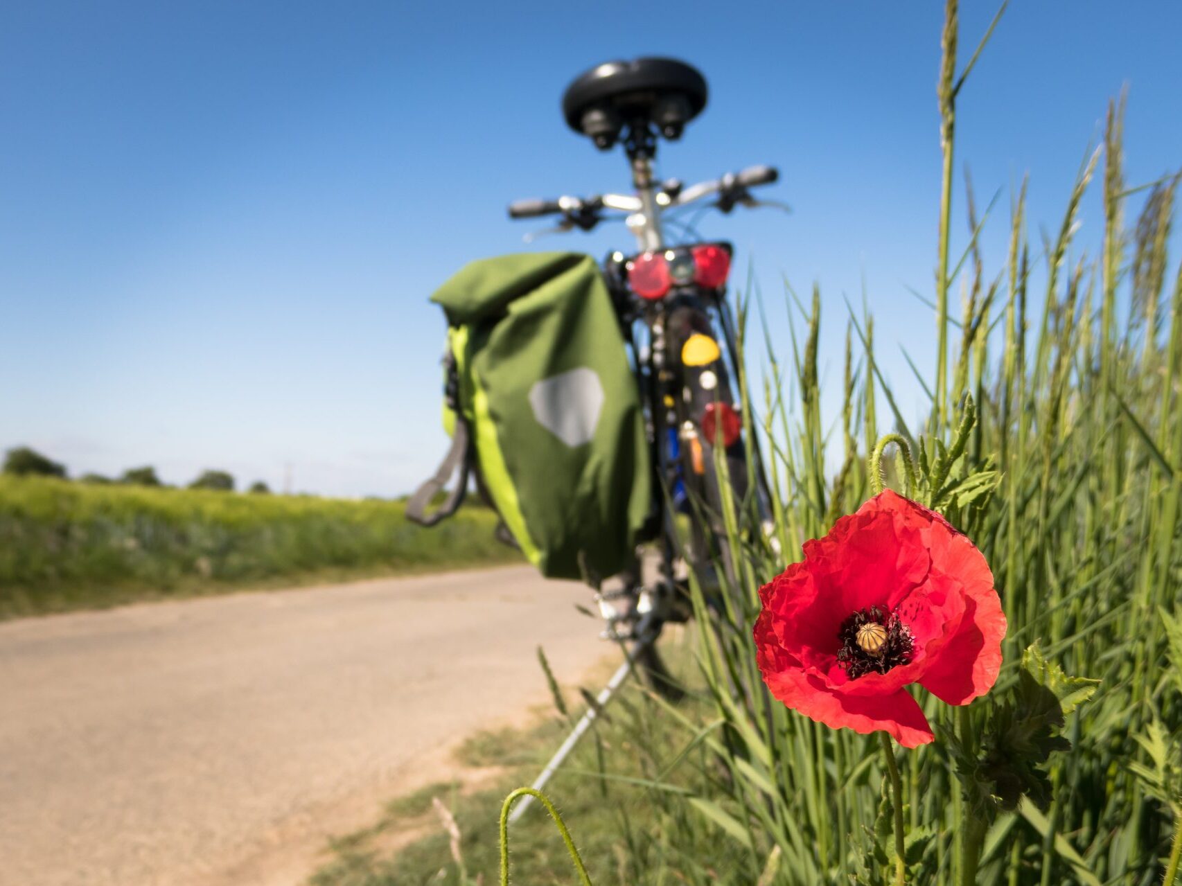 biking-pixabay