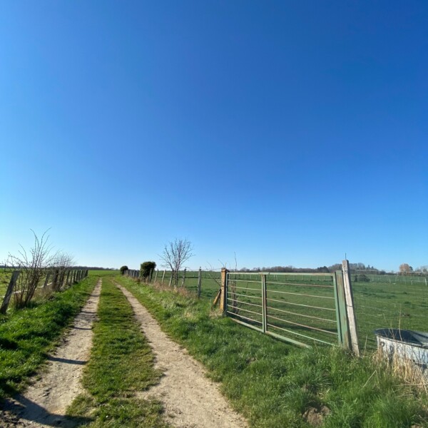 [🌳🥾 CIRCUIT DECOUVERTE DOSMOY...