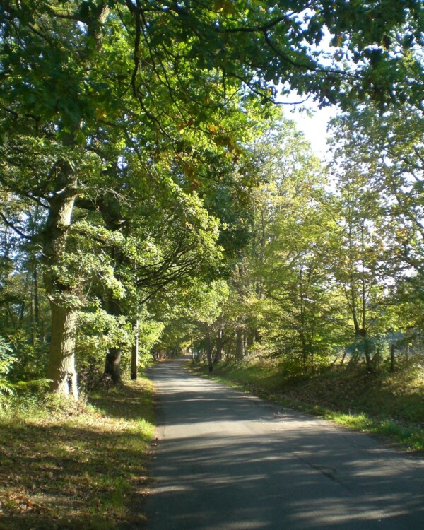[🌲🥾 CIRCUIT DÉCOUVERTE...