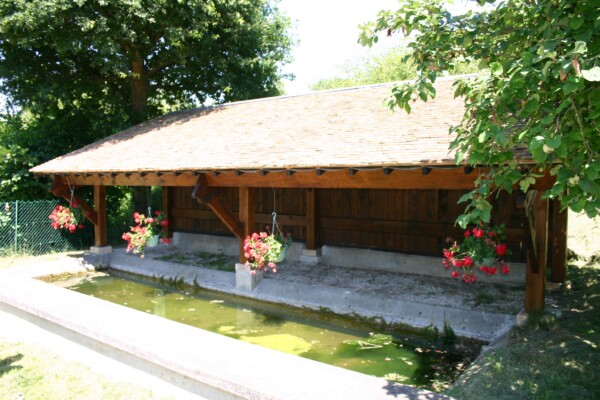 [ 🧐 Questions du jour, bonjour !...