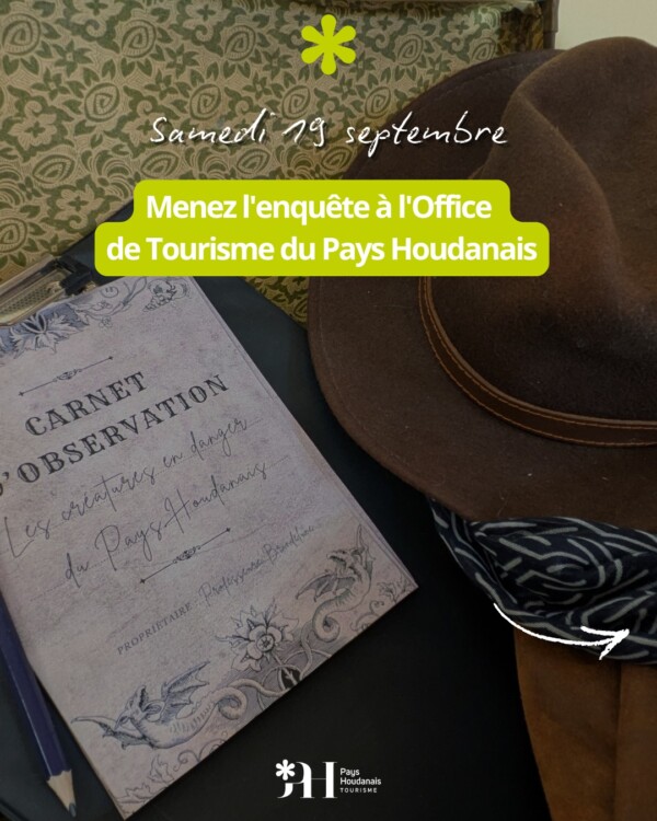 [🔎 ENQUÊTE SUR LE PATRIMOINE EN...