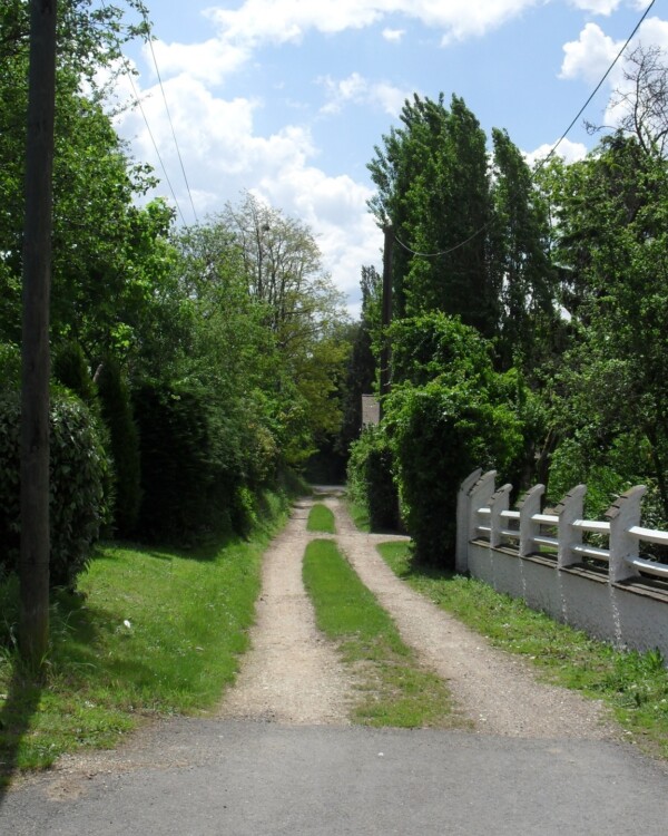 [🌳🥾 CIRCUIT DECOUVERTE DE...
