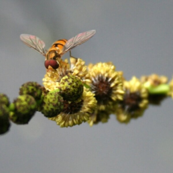 [ 📷 INSTANT PHOTO 📷 ]
Envie de...