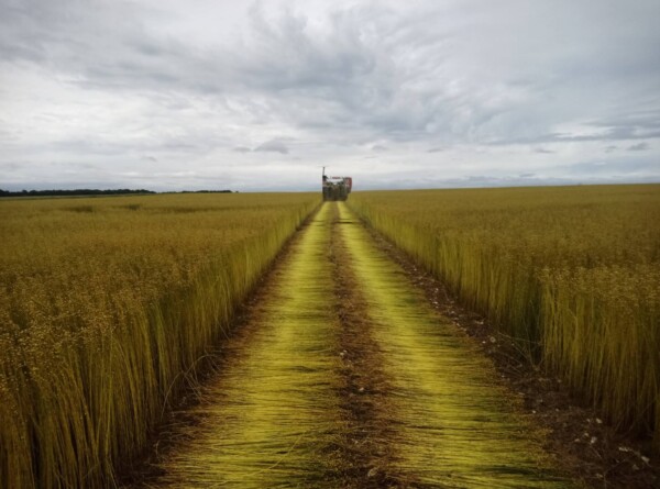 [🌾NOTRE BELLE CAMPAGNE...