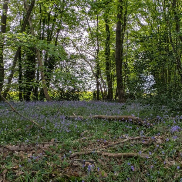[🥾🌿 RETOUR EN IMAGES : RANDONNÉE...