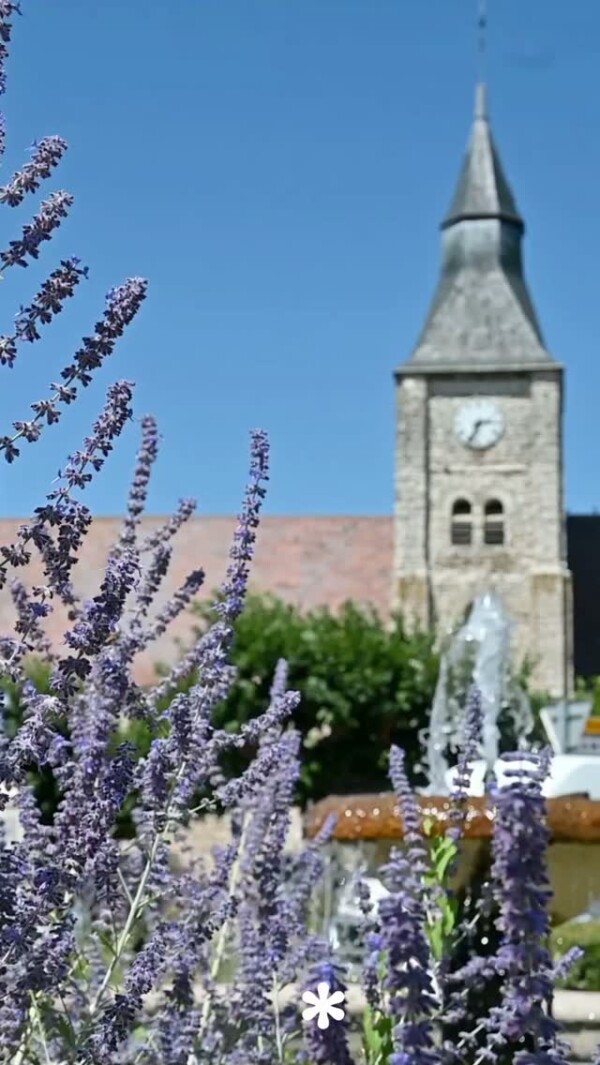 [🌿ESCAPADE : BOURDONNÉ ET SES...